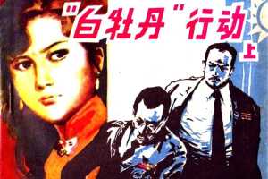 白牡丹行动（上）