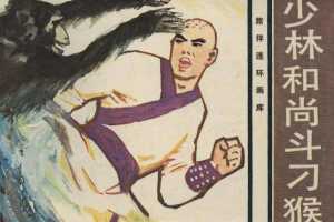 少林和尚斗刁猴