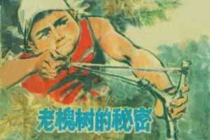 老槐树的秘密