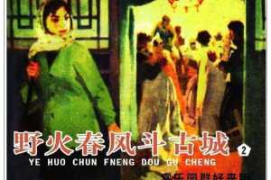 野火春风斗古城2