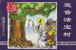 观音活宝树