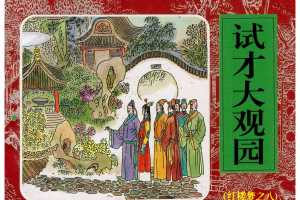 试才大观园