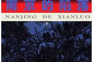 南京的陷落（下）