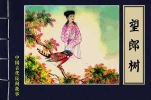 望郎树