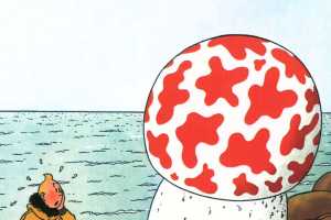 丁丁历险记10_神秘的流星