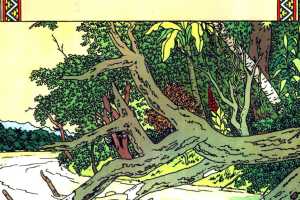 丁丁历险记06_破损的耳朵