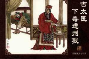 三国演义15吉太医下毒遭刑戮
