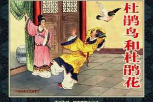 中国古典文学故事③_杜鹃鸟和杜鹃花