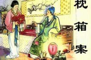儒林外史07枕箱案