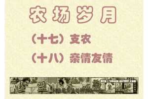 支农+18亲情友情