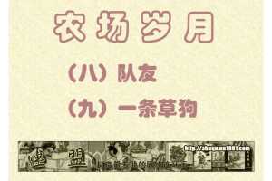 队友+09一条草狗