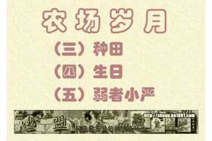 种田+04生日+05弱者小严