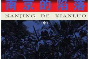 南京的陷落（中）