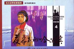 夜幕下的哈尔滨04