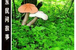 红蘑茹与白蘑茹