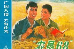 农垦68