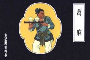 葛麻