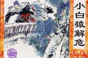 小白猿解危
