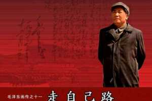 毛泽东画传11走自己路