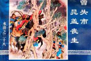 水浒传28曾头市晁盖丧生