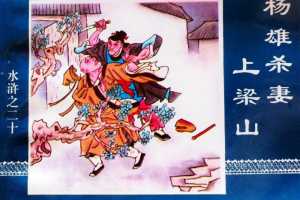 水浒传20杨雄杀妻上梁山