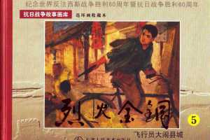 飞行员大闹县城