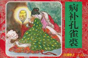 病补孔雀裘