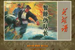 智除伪队长
