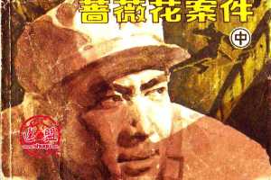 蔷薇花案件（中）