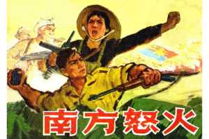 南方怒火