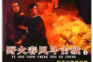 野火春风斗古城3