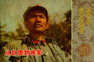 从奴隶到将军（下）