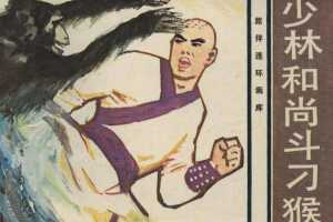 少林和尚斗刁猴