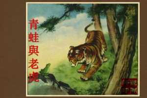 青蛙与老虎