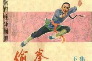 偷拳(下)