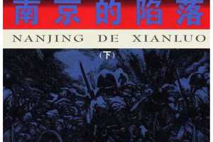 南京的陷落（下）