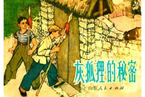 灰狐狸的秘密