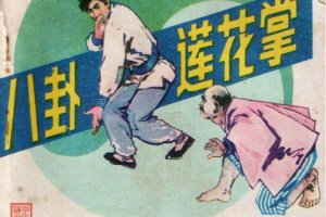 八卦莲花掌