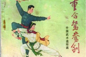 重合鸳鸯剑