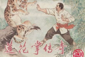 莲花掌传奇
