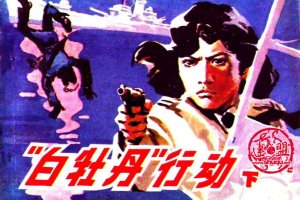 白牡丹行动（下）