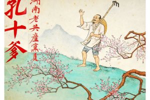 孔十爹