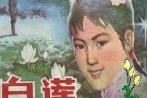 白莲